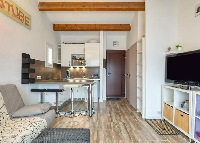 Cap D'agde, Beau T2, Parking Appartement Agde